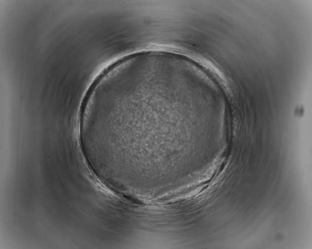 X0000100211280200806131244