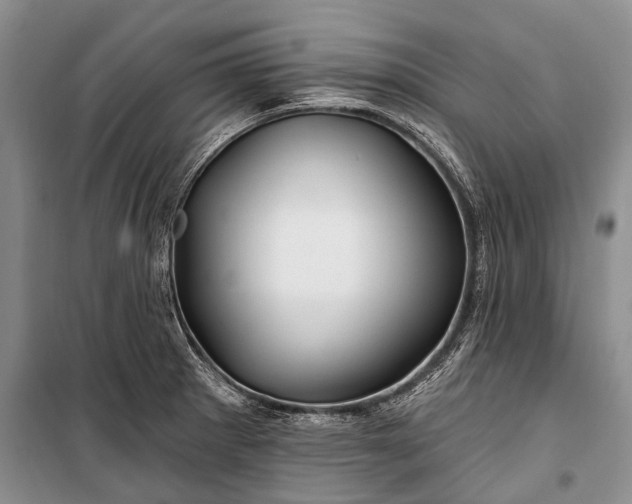 X0000100211281200806131244