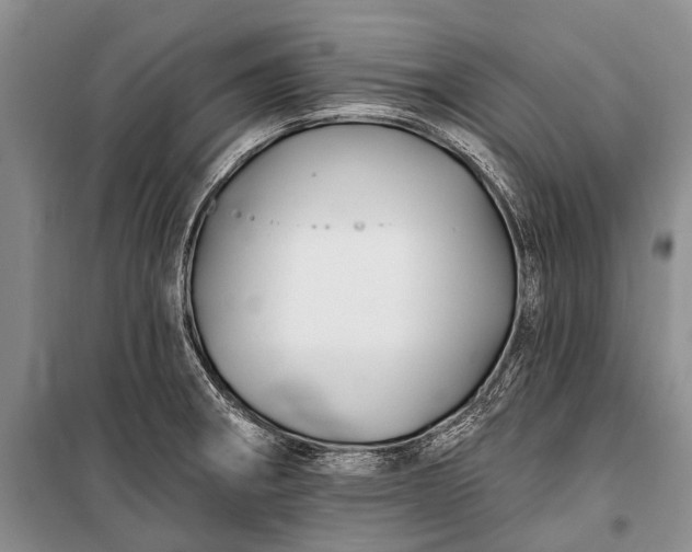 X0000100211282200806131244