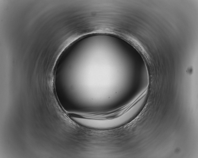 X0000100211284200806131244