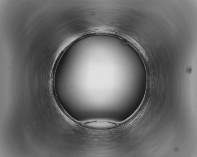 X0000100211285200806131244