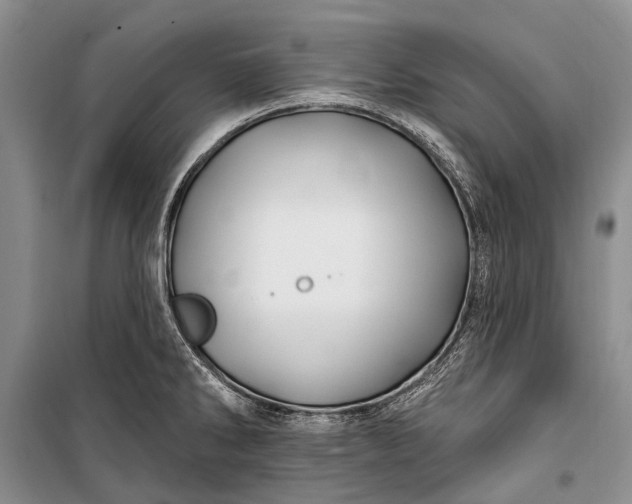 X0000100211286200806131244