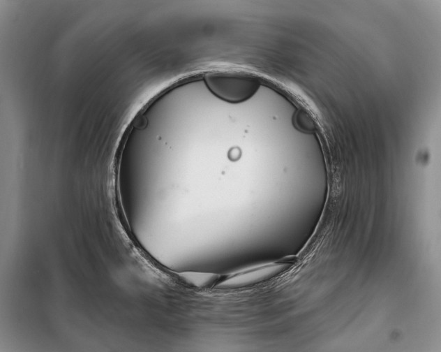 X0000100211287200806131244