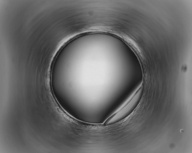 X0000100211288200806131244