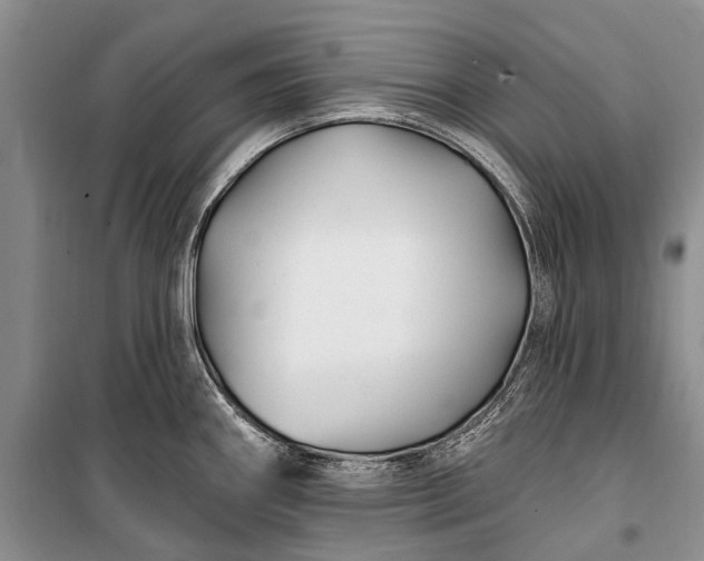 X0000100211290200806131244