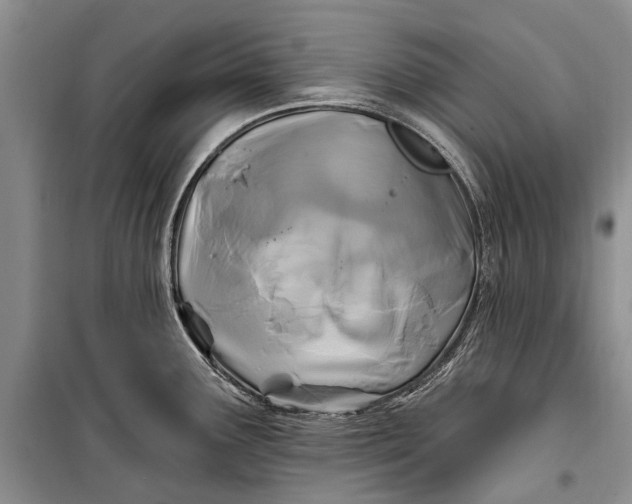 X0000100211291200806131244