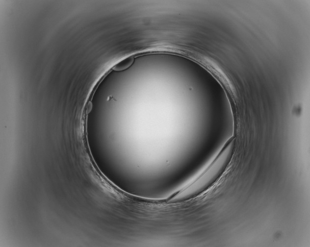 X0000100211292200806131244