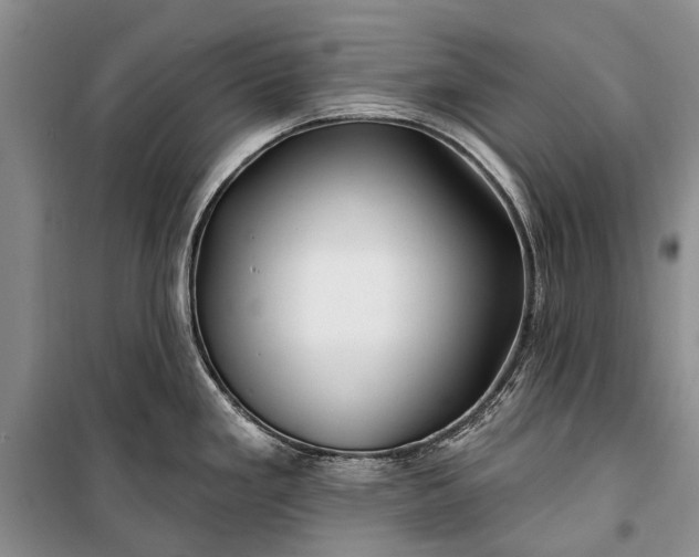 X0000100211293200806131244