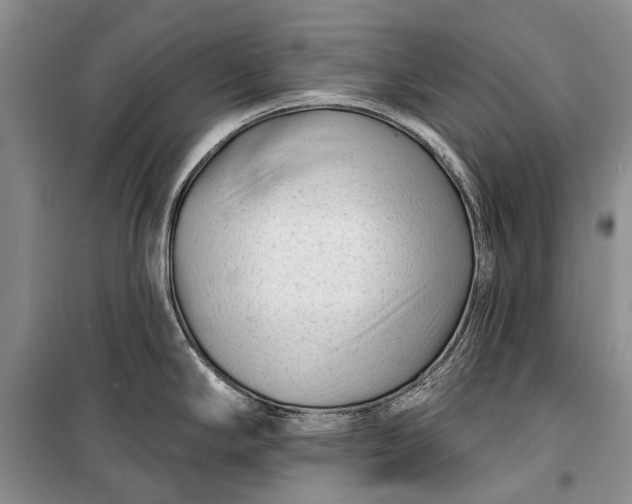 X0000100211294200806131244