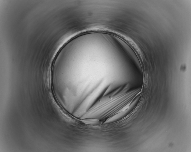 X0000100211295200806131244