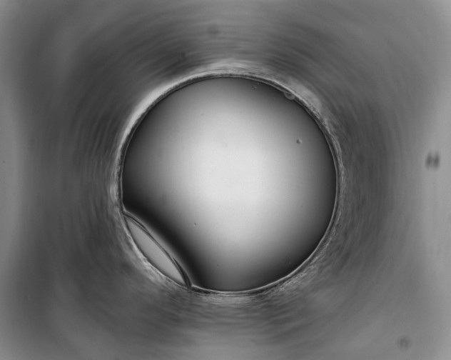 X0000100211296200806131244