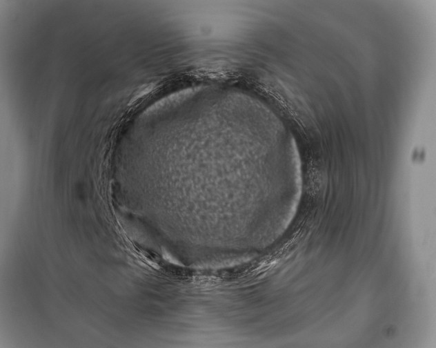 X0000100211297200806131243