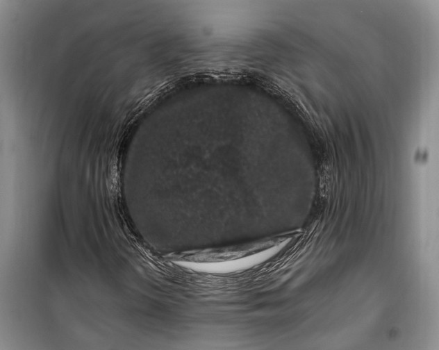 X0000100211298200806131243