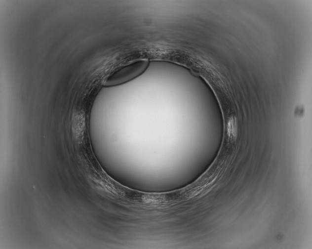 X0000100211299200806131243