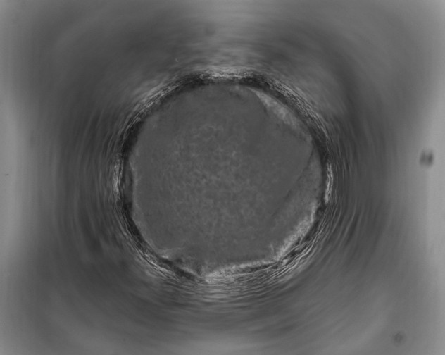 X0000100211300200806131243