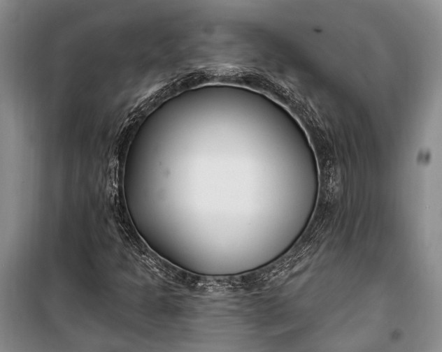 X0000100211301200806131243