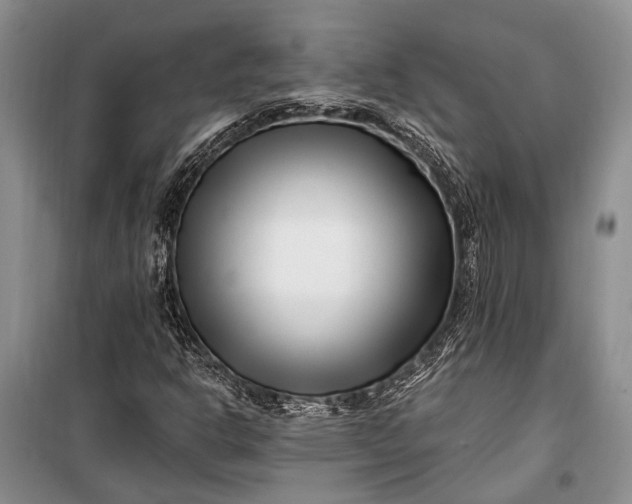 X0000100211302200806131243