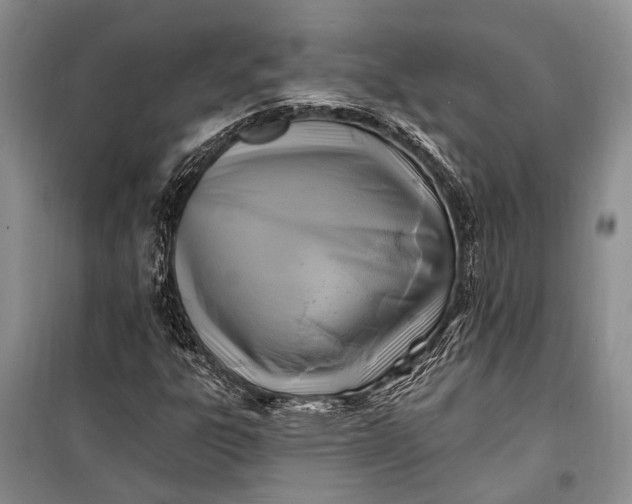 X0000100211303200806131243