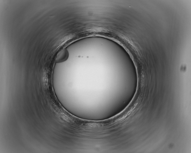 X0000100211305200806131243