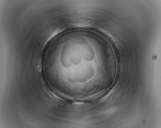 X0000100211306200806131243