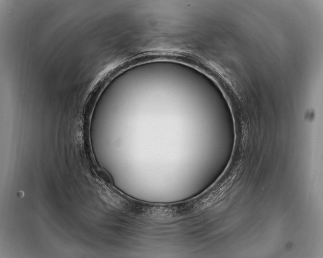 X0000100211307200806131243