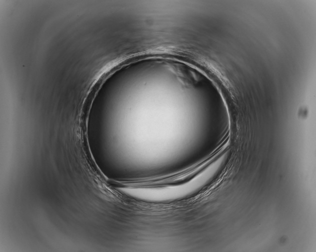 X0000100211308200806131243