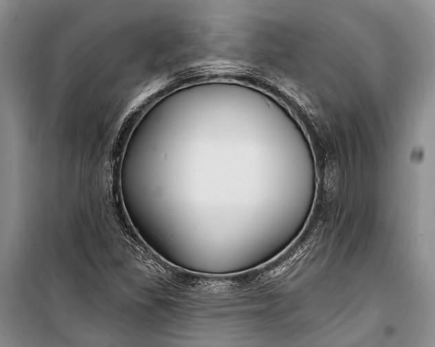 X0000100211309200806131243