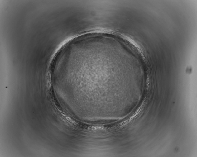 X0000100211310200806131243