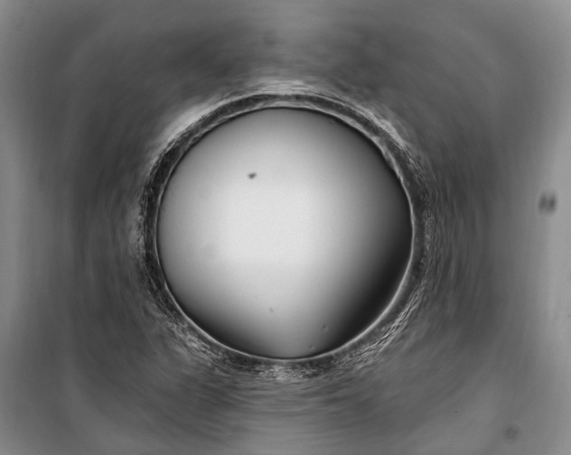 X0000100211311200806131243