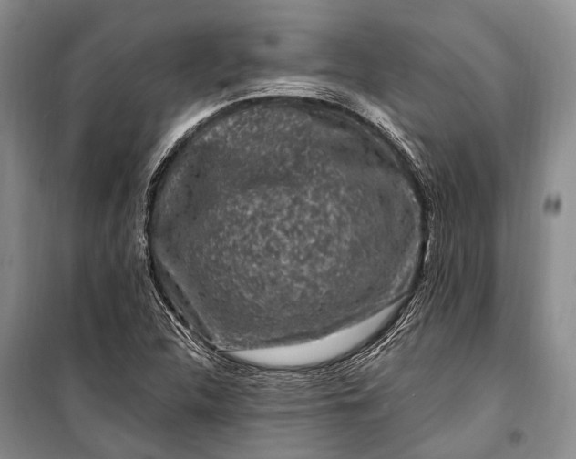 X0000100211312200806131243