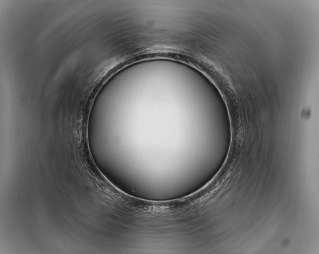 X0000100211313200806131243