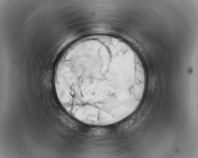 X0000100211314200806131243