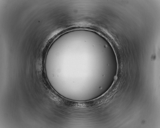 X0000100211315200806131243