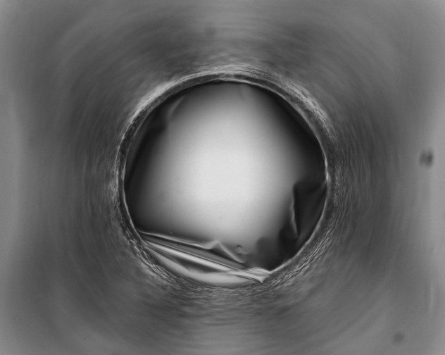 X0000100211316200806131243