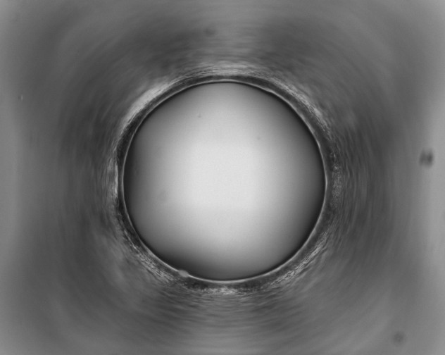 X0000100211317200806131243