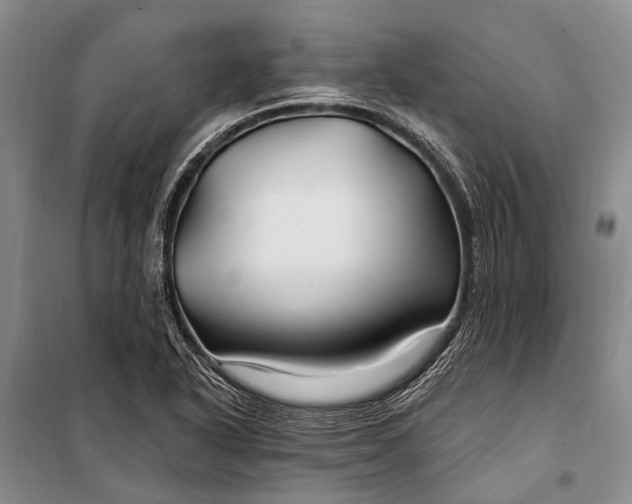 X0000100211318200806131243