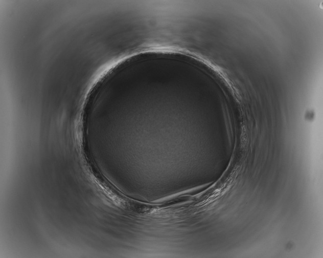 X0000100211319200806131243