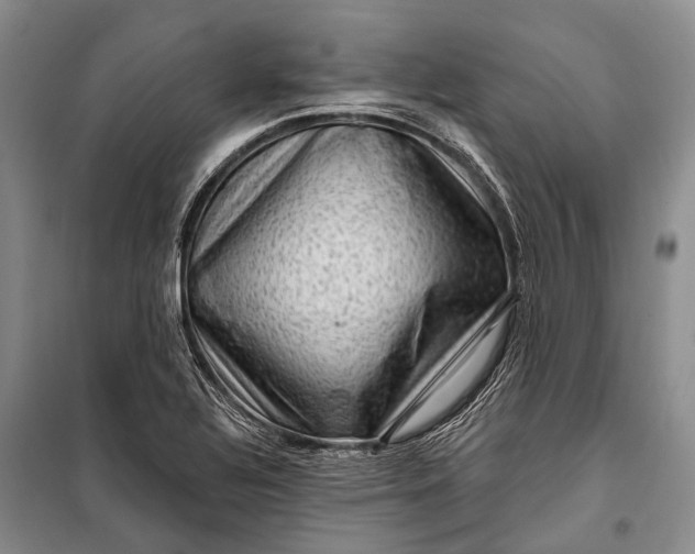 X0000100211320200806131243