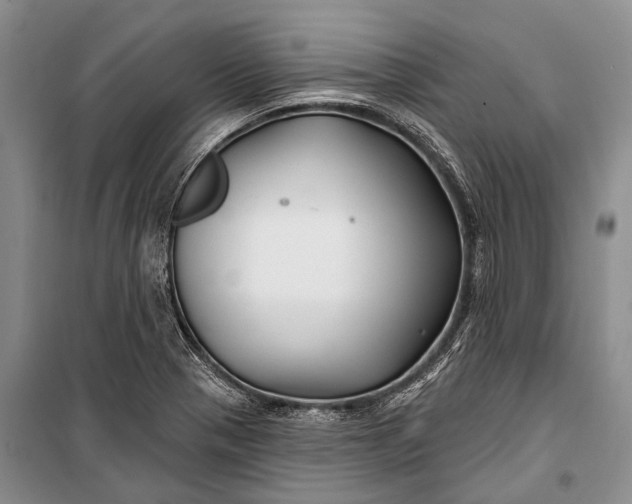 X0000100211321200806131243