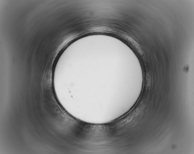 X0000100211322200806131243