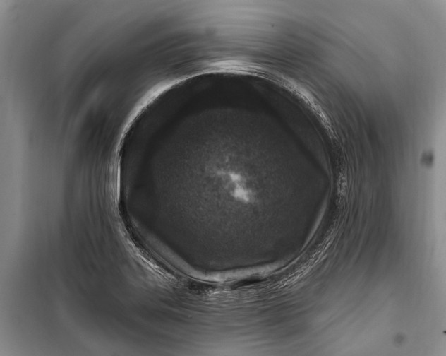 X0000100211323200806131243