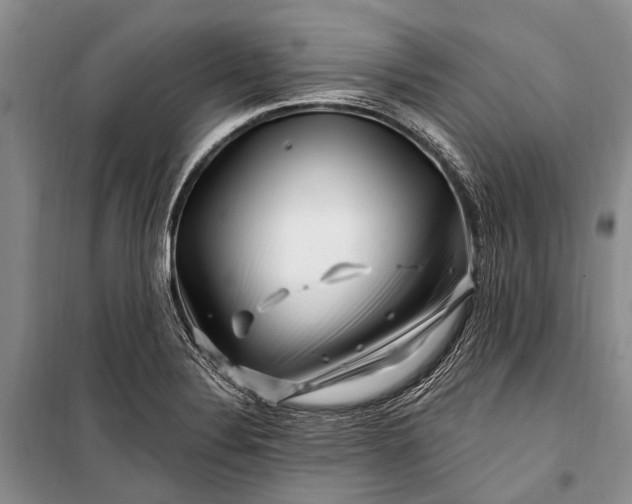 X0000100211324200806131243