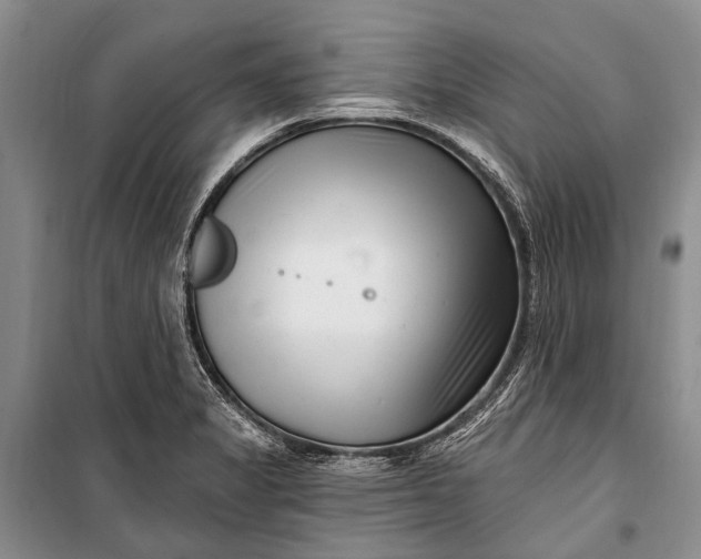 X0000100211325200806131243