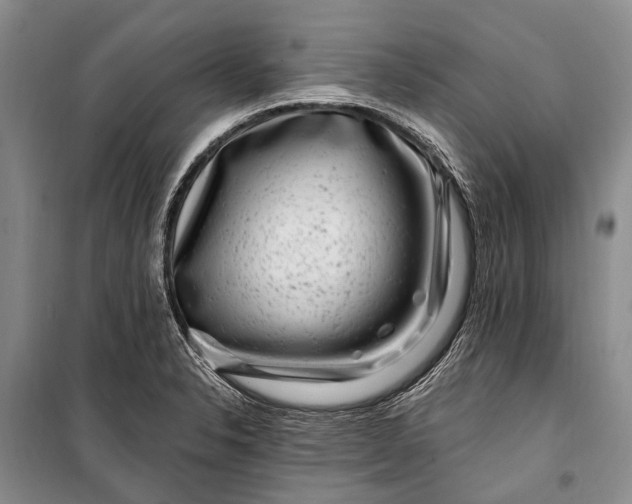 X0000100211326200806131243