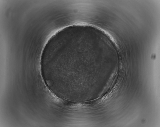 X0000100211327200806131243