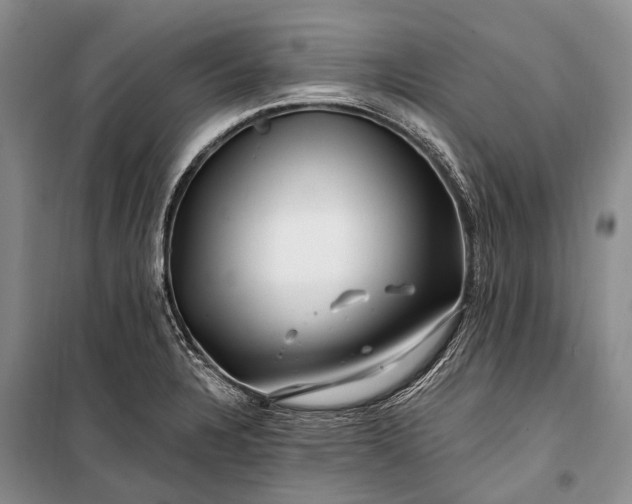 X0000100211328200806131243