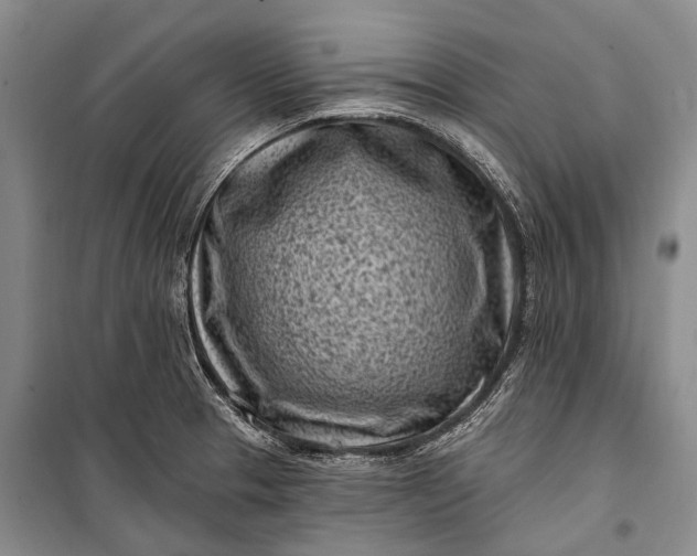 X0000100211329200806131243