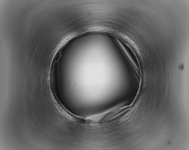 X0000100211330200806131243