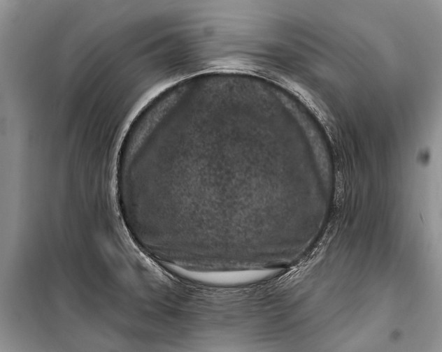 X0000100211331200806131243