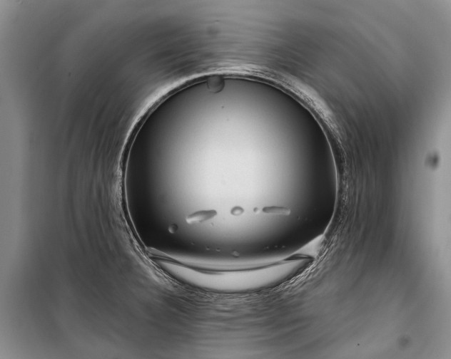 X0000100211332200806131243